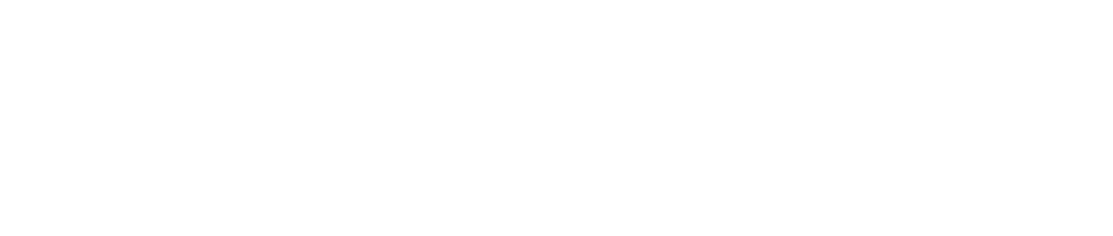SpineMED Decompression System