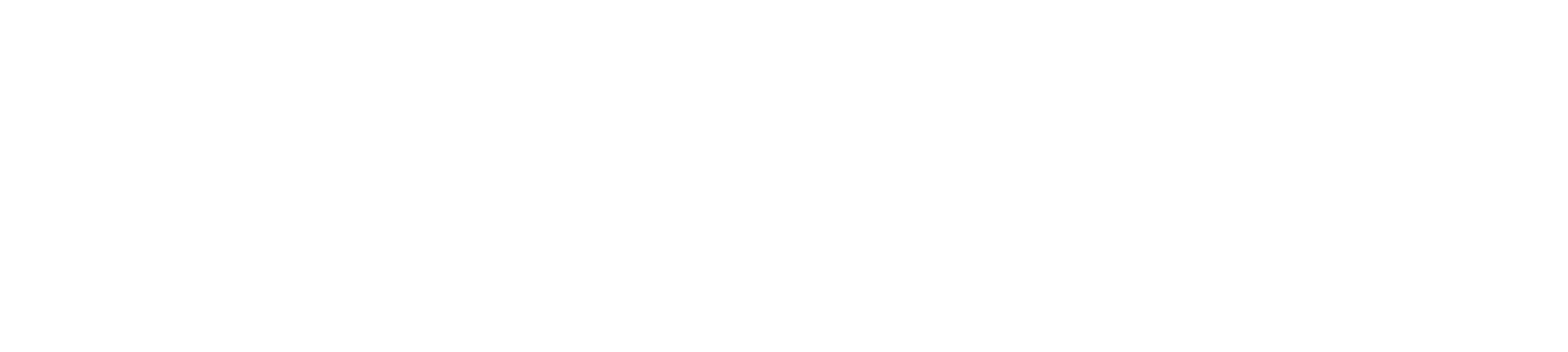 SpineMED MS