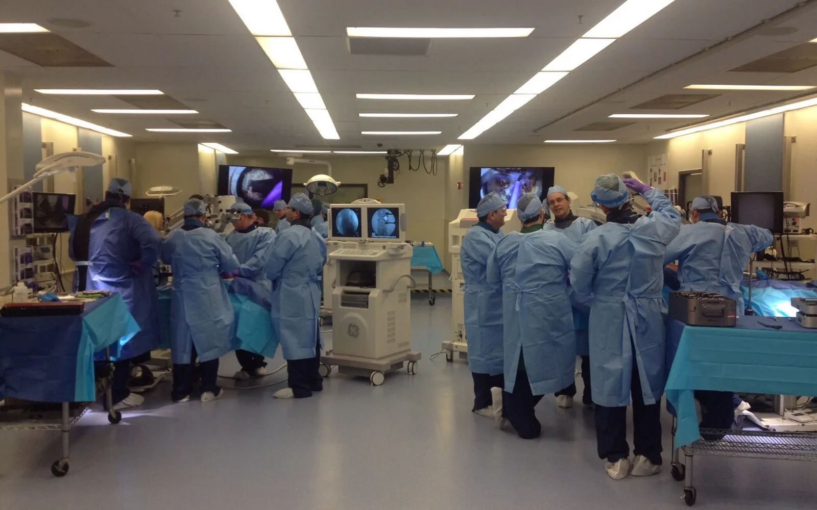 Curso Avançado AOSpine (Cadavérico)
