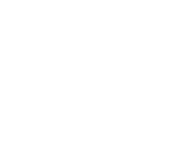 AO Spine