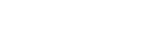 North American Spine Society